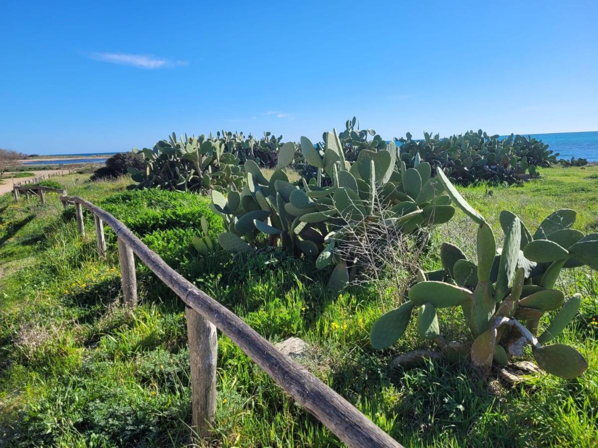 Appartamento Demetrio 50M Mare & Shopping Lido Marini Dış mekan fotoğraf